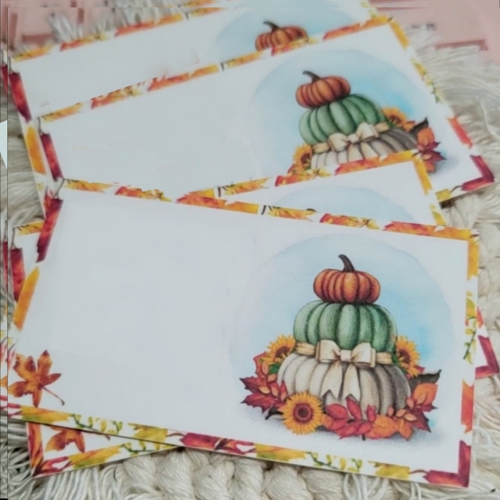 30 ct  pumpkin cards ( match up to any poly mailer )